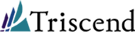Triscend Corporation